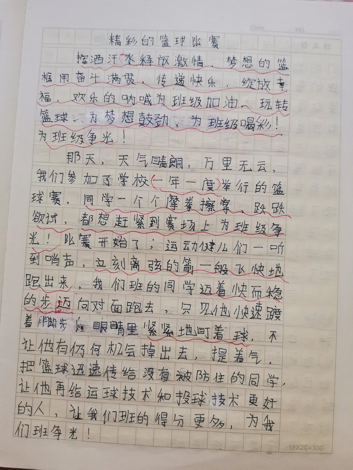 篮球训练的感悟心得体会500字作文
